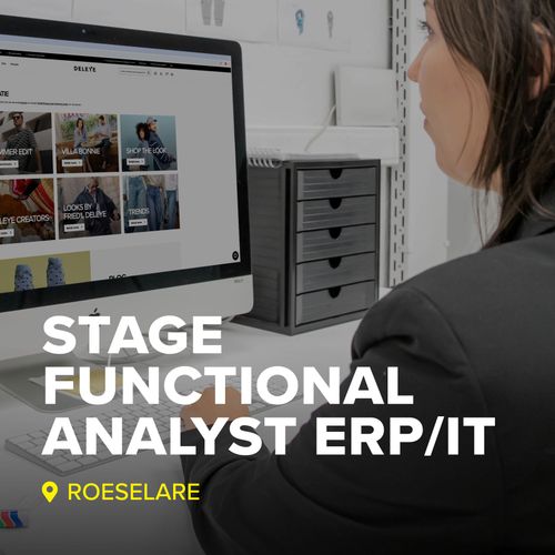 Stage Functional Analyst ERP-IT