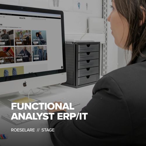 Stage Functional Analyst ERP-IT
