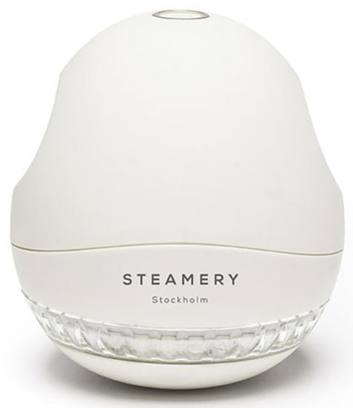 Lichtgrijze Ontpluizer Steamery Stockholm