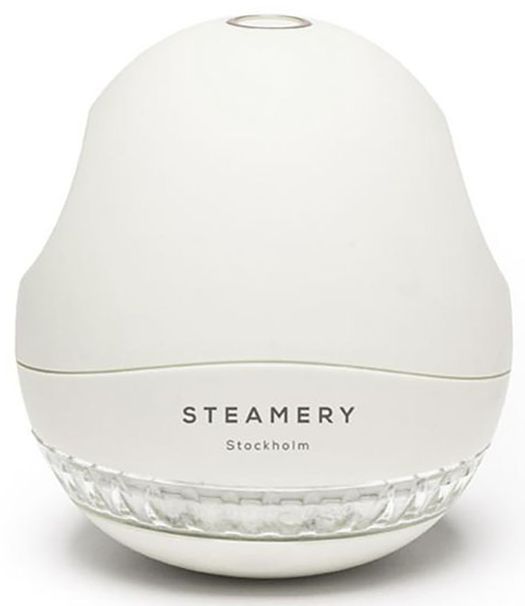 Lichtgrijze Ontpluizer Steamery Stockholm