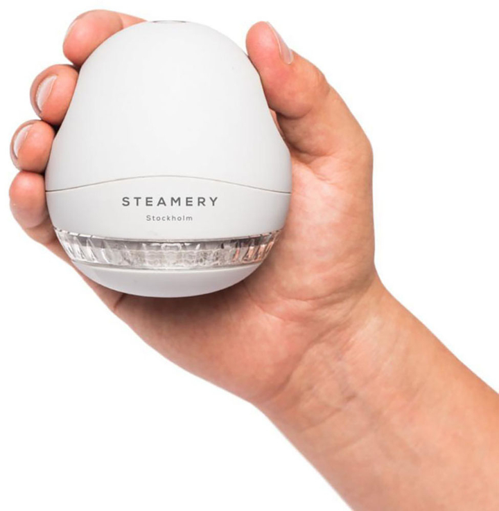 Lichtgrijze Ontpluizer Steamery Stockholm