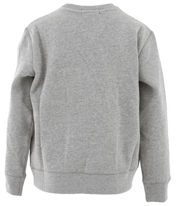 Lichtgrijze trui met ronde hals en blauw logo Ralph Lauren