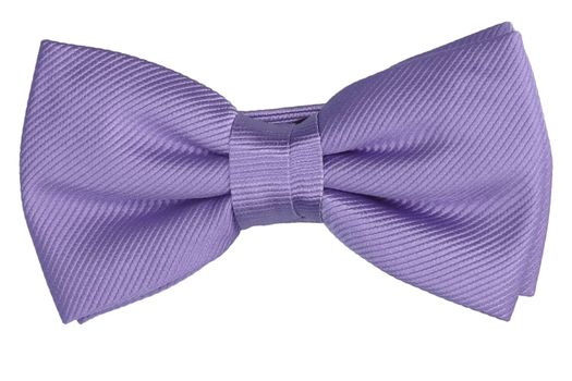 Lila vlinderdas Profuomo Michaelis