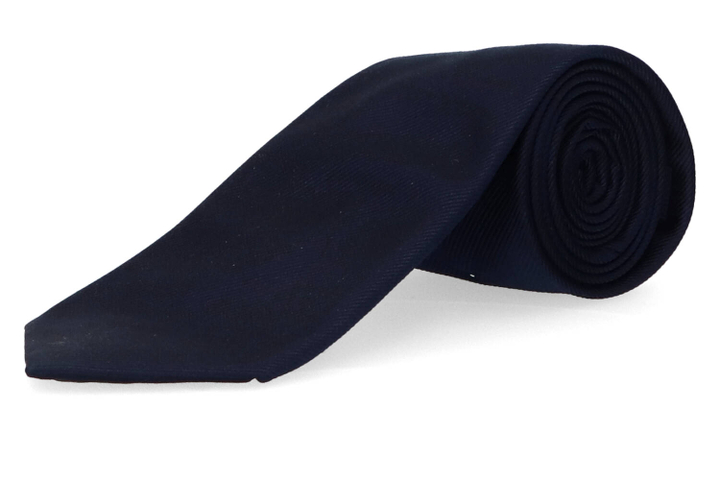 Blauwe das Profuomo Michaelis