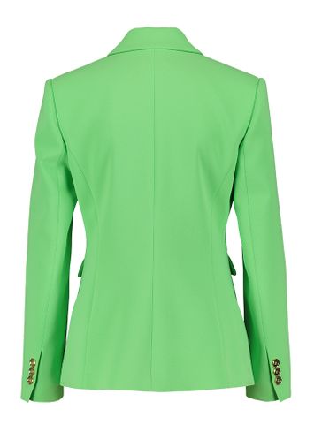 Limoengroene blazer met goudkleurige knoop Humahuaca Giacca Pinko