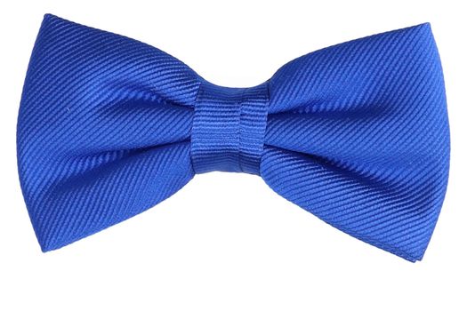 Kobalt vlinderdas Profuomo