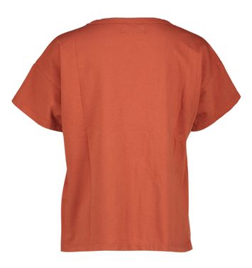 Brique kleurige t-shirt met blauwe opdruk Big Cat Bobo Choses