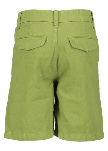 Kakigroene short AO76