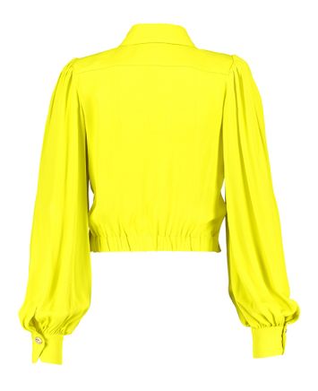 Geelgroene blouse Elisabetta Franchi