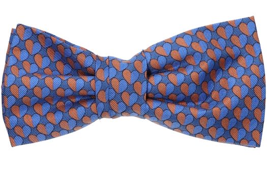 Blauwe vlinderdas in print Marchesi Di Como