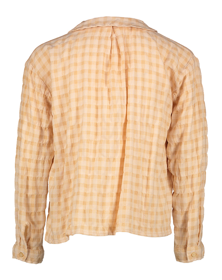 Roze geruite blouse met lange mouwen Violet Morley