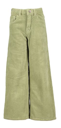 Lichtgroene ribfluwelen broek Zina AO76