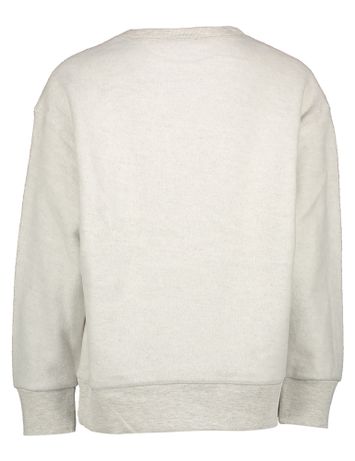 Lichtgrijze katoenen sweater met kobaltblauwe opschrift Oscar AO76