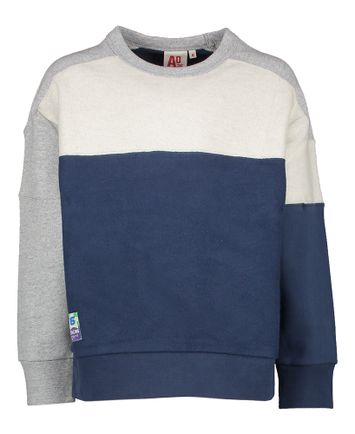 Multicolor katoenen sweater met ronde hals Boas AO76