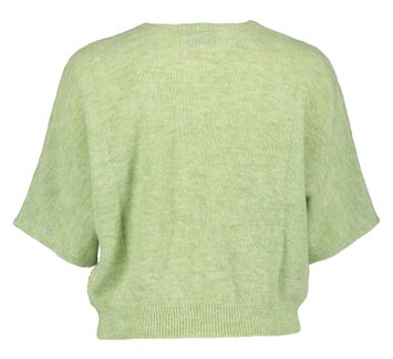 Lichtgroene pull met korte mouwen en V-hals Almelo Nathalie Vleeschouwer