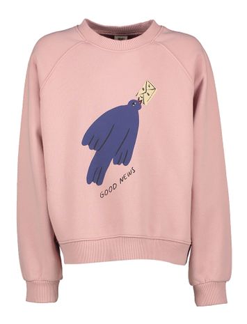 Oudroze katoenen sweater met ronde hals en opdruk Birds Jelly Mallow