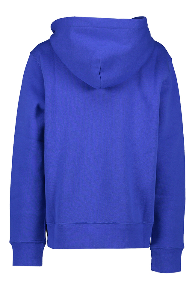 Kobaltblauwe trui met groen logo Ralph Lauren 