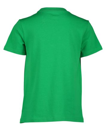 Groene t-shirt met donkerblauw merklogo Ralph Lauren 