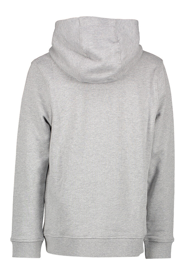 Grijze sweater met kap Lyle & Scott 