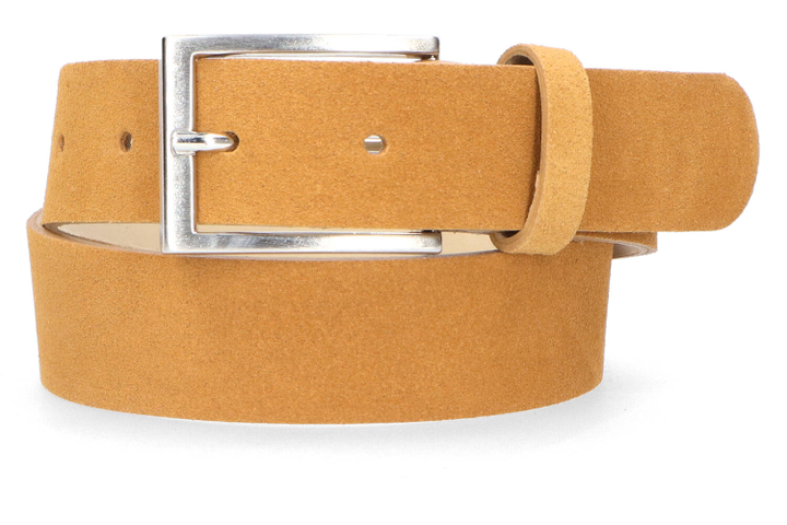 Cognace riem Ronald communie D-Lux