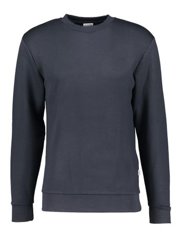 Zachte blauwe pull Manuel Selected