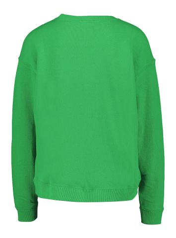  Groene sweater met donkerblauw merklogo Raph Lauren 