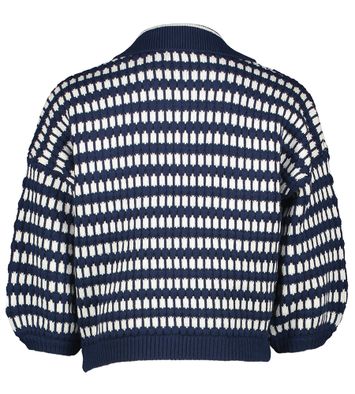 Blauw met wit gestreepte trui met kraag Sablon Indee