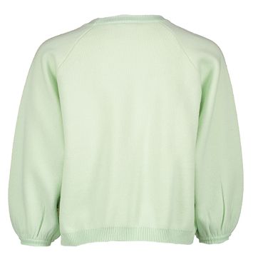 Light green sweater AO