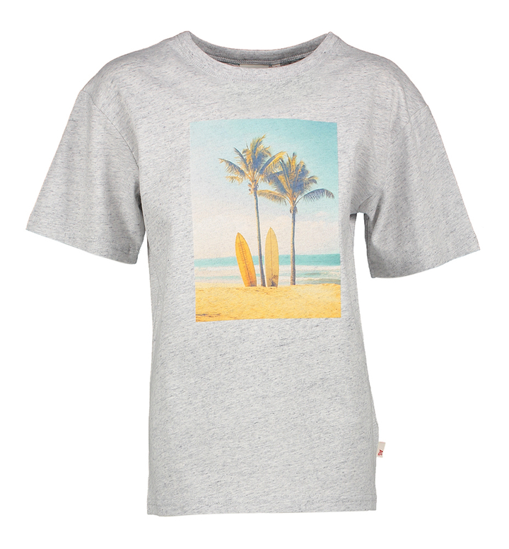 Grijze t-shirt met palmboom print AO75