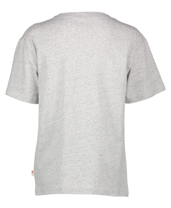 Grijze t-shirt met palmboom print AO75