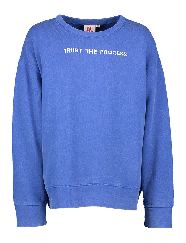 Bauwe sweater Trust The Process AO76