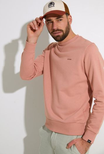 Vieux roze sweater met tekening op de rug Antwrp