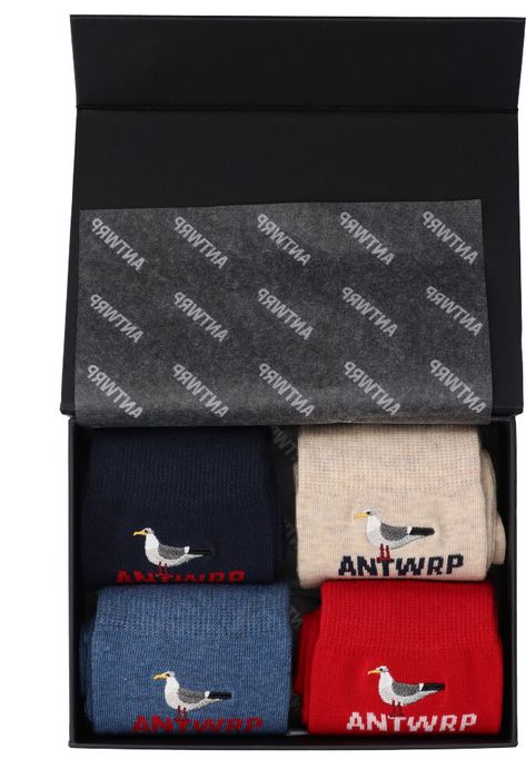 4-pack kousen Antwrp