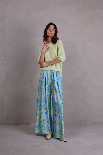 Lichtblauwe wijde broek met bloemenprint Freddy 