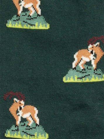 Groene kousen met print Capricorn Climb Dillysocks