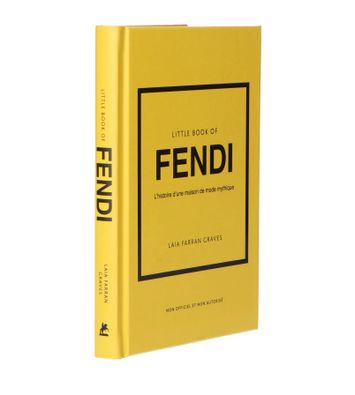 Little Book Of Fendi Place Des Victoires
