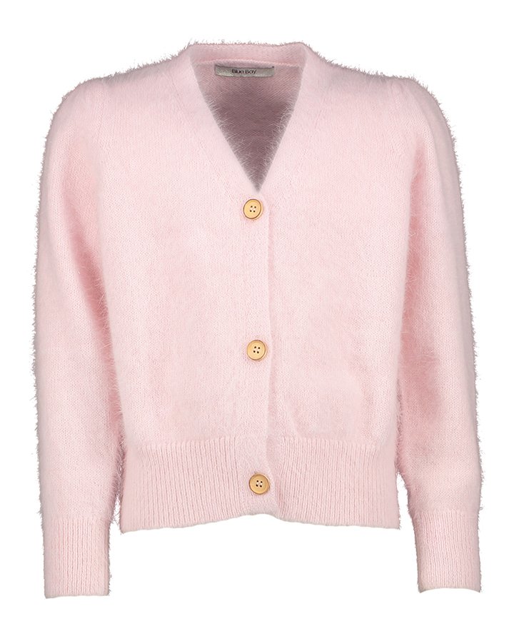 Licht roze zachte cardigan Phoebe Blue Bay
