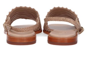Beige kleurige sandalen Hope Lizard Allan K