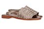 Bronskleurige sandalen Hope Lizard Allan K