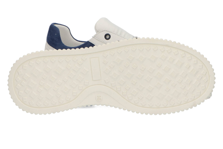 Witte lage sneakers met blauw detail Frau