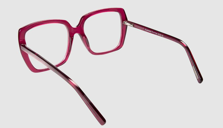 Grown up red  bril eyedentitiy Frank And Lucie