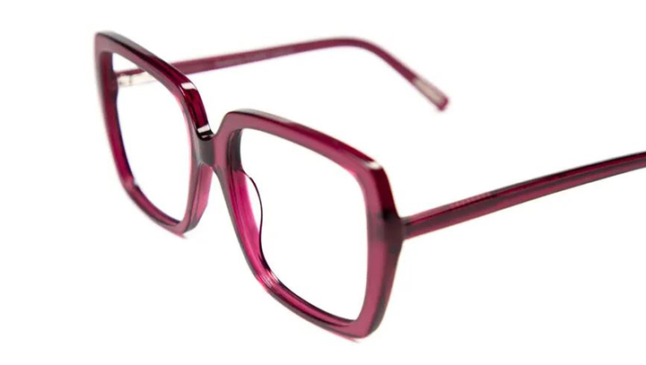 Grown up red  bril eyedentitiy Frank And Lucie