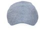 Light blue pet Texas Stetson