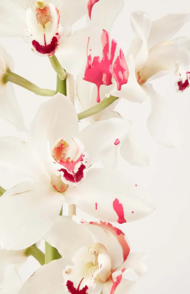 Aurora pink nagellak Gitti