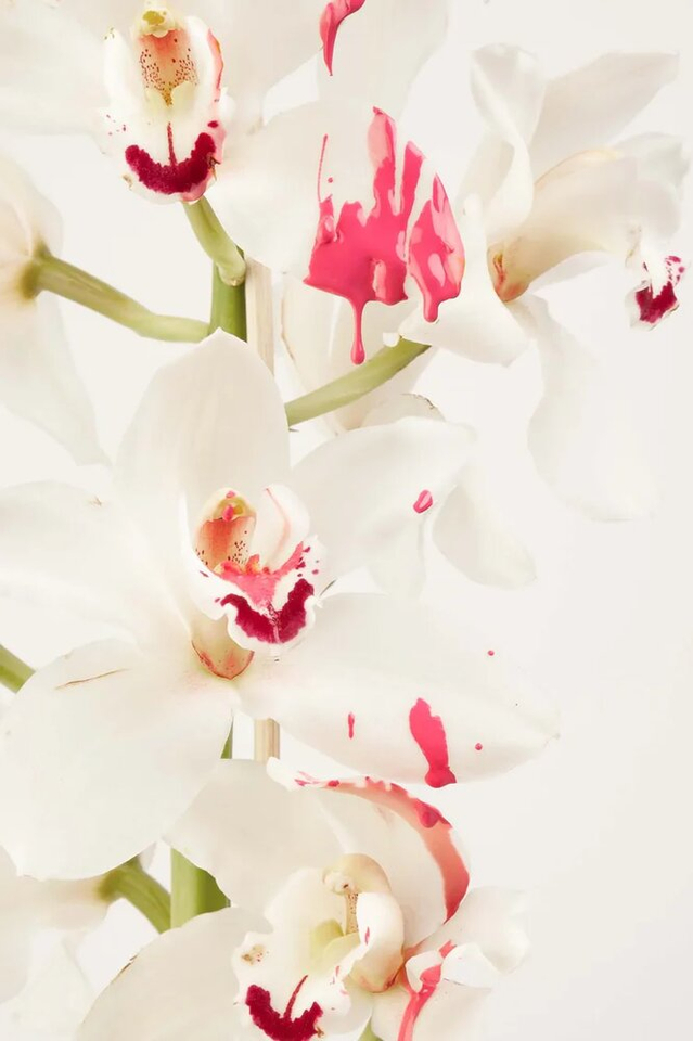 Aurora pink nagellak Gitti