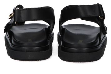 Zwarte sandalen Harper Alohas