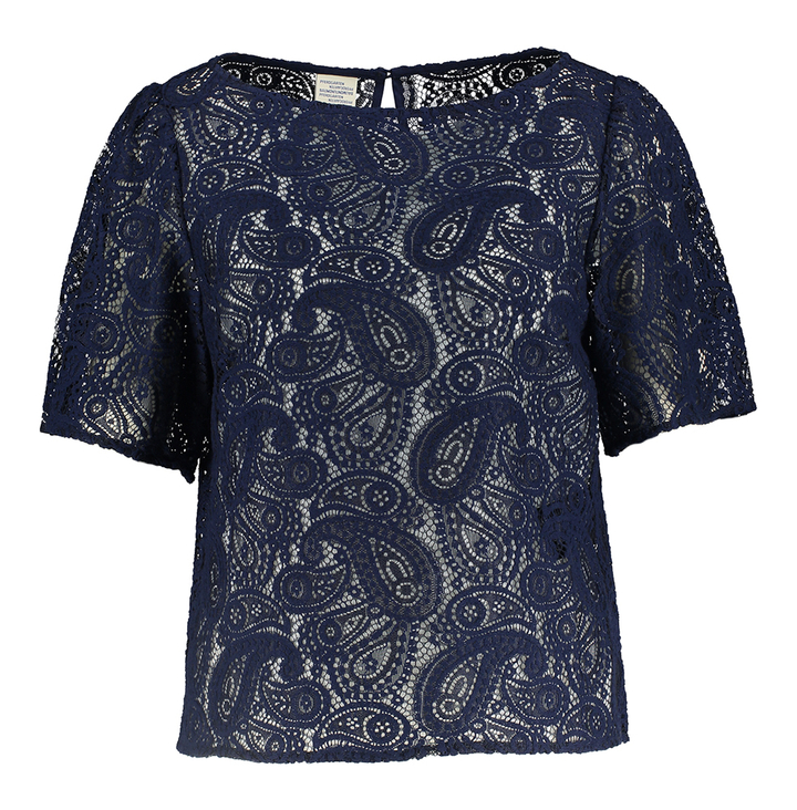 Donkerblauwe bloes Baum Und Pferdgarten 