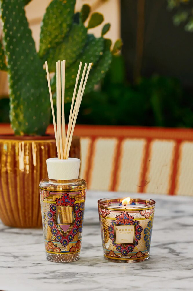 Giftbox My First Baobab Mexico Baobab