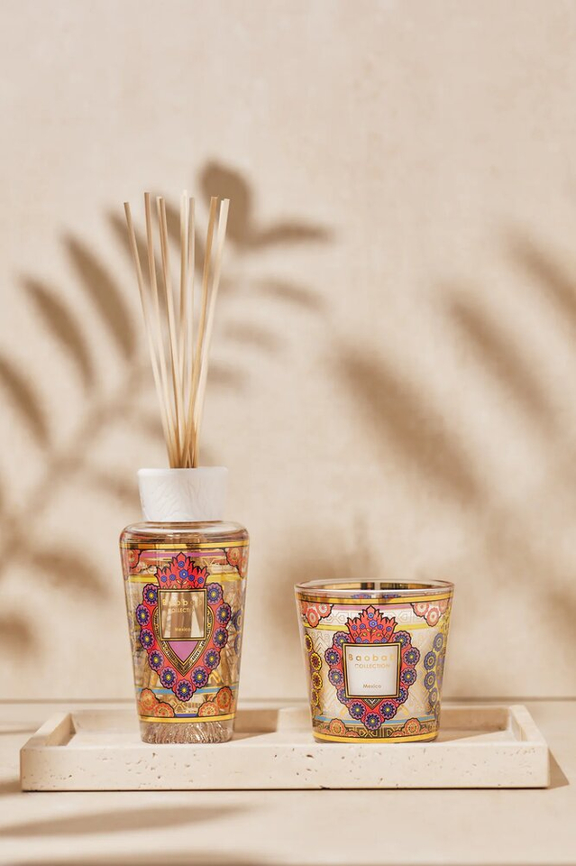 Giftbox My First Baobab Mexico Baobab