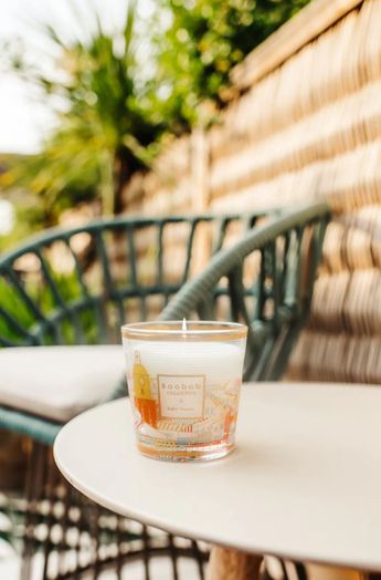 Geurskaars My First Baobab A Saint-Tropez Baobab